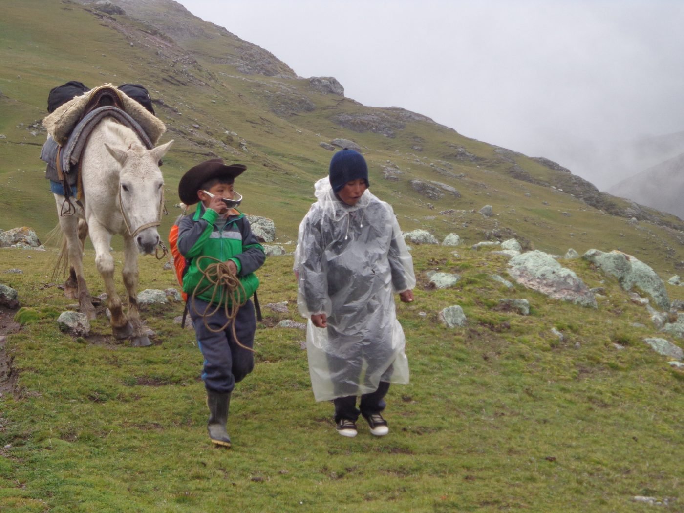 Niños con caballo de carga